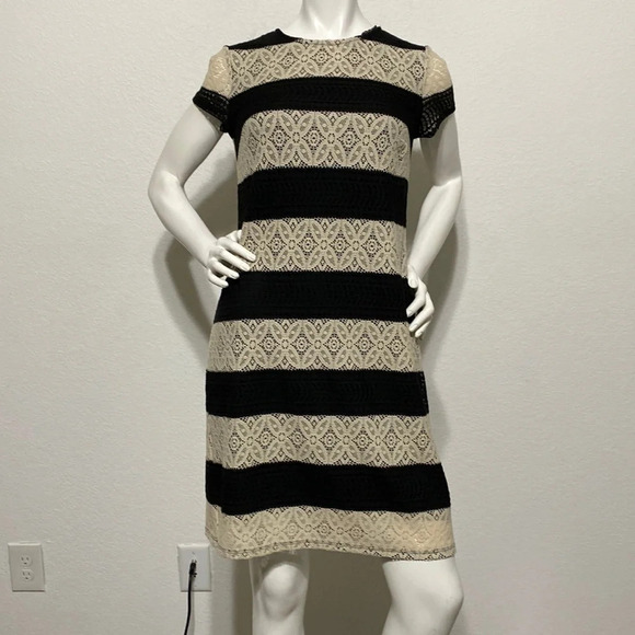 Maggy London Cream Black Striped Lace Sheath Dress - Picture 2 of 8